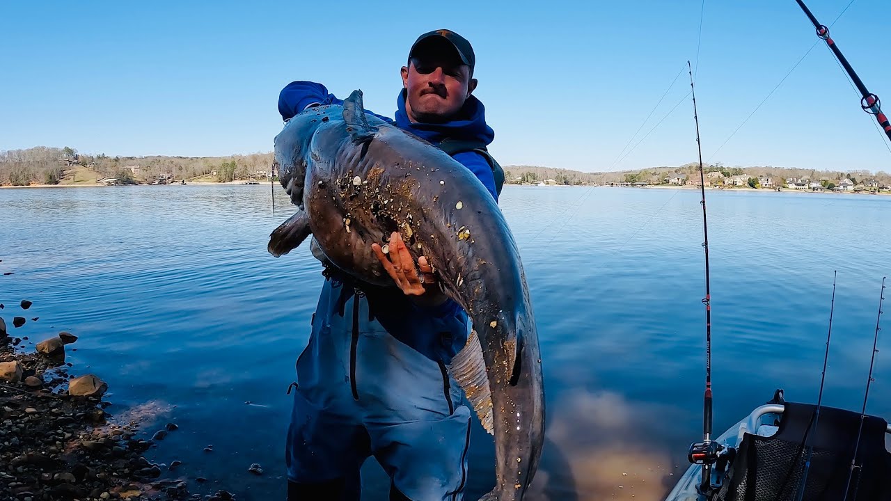 I Catch SUMO Size Catfish Using This SIMPLE Method