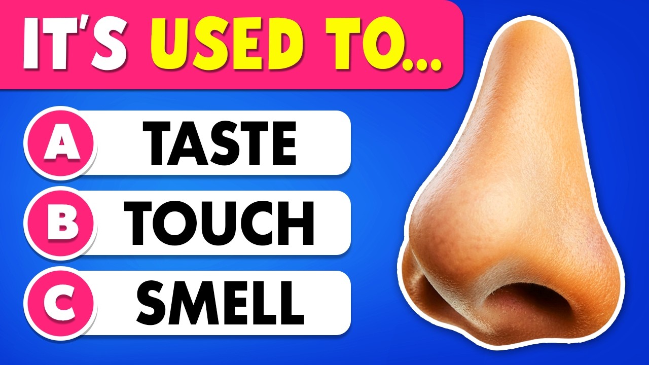 Can You Pass This General Knowledge Quiz? 👦🧠 50 Questions Everyone Should Know! 🙂