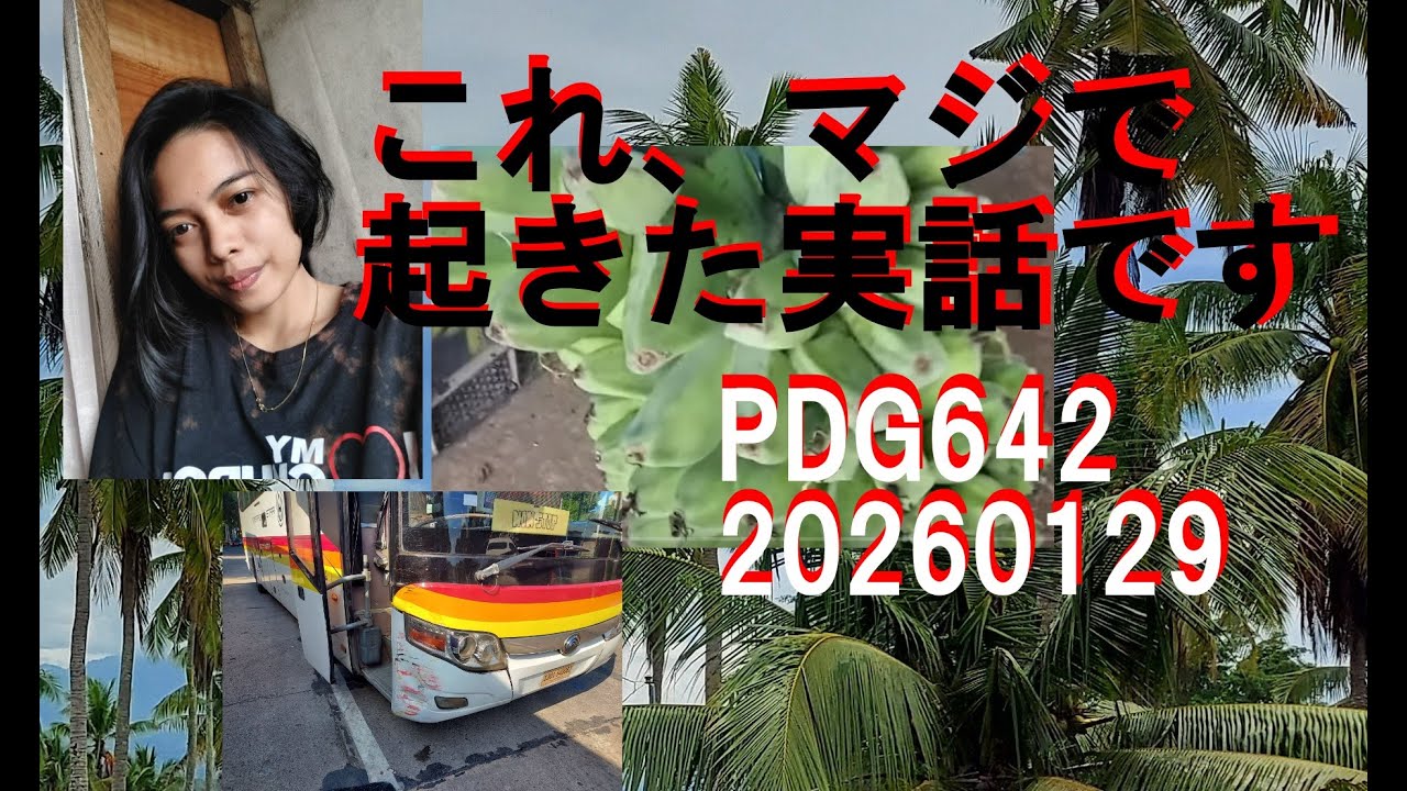 642。フィリピン移住3年の全記録｜理想と現実のギャップを全て話します！！PDGフィリピンドリームガーデン