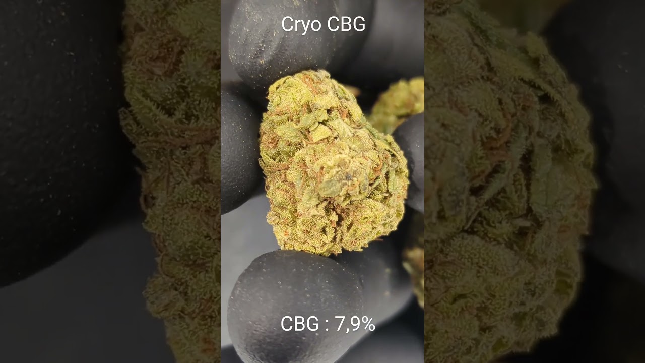 #CRYO CBG #FLEUR DE CBD #CBD #GREENCOMETCBD.FR #CBD SHOP