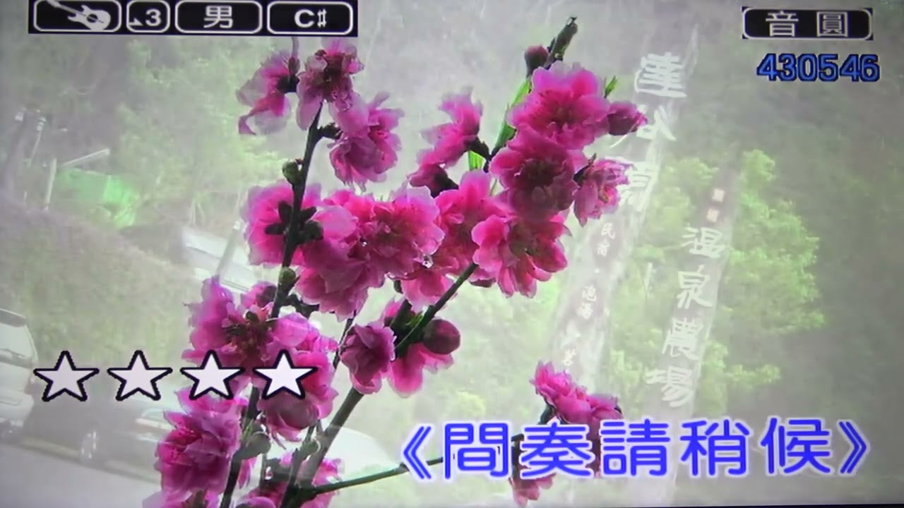 想你的時候問月亮-雨中百合(男調)純練唱音樂
