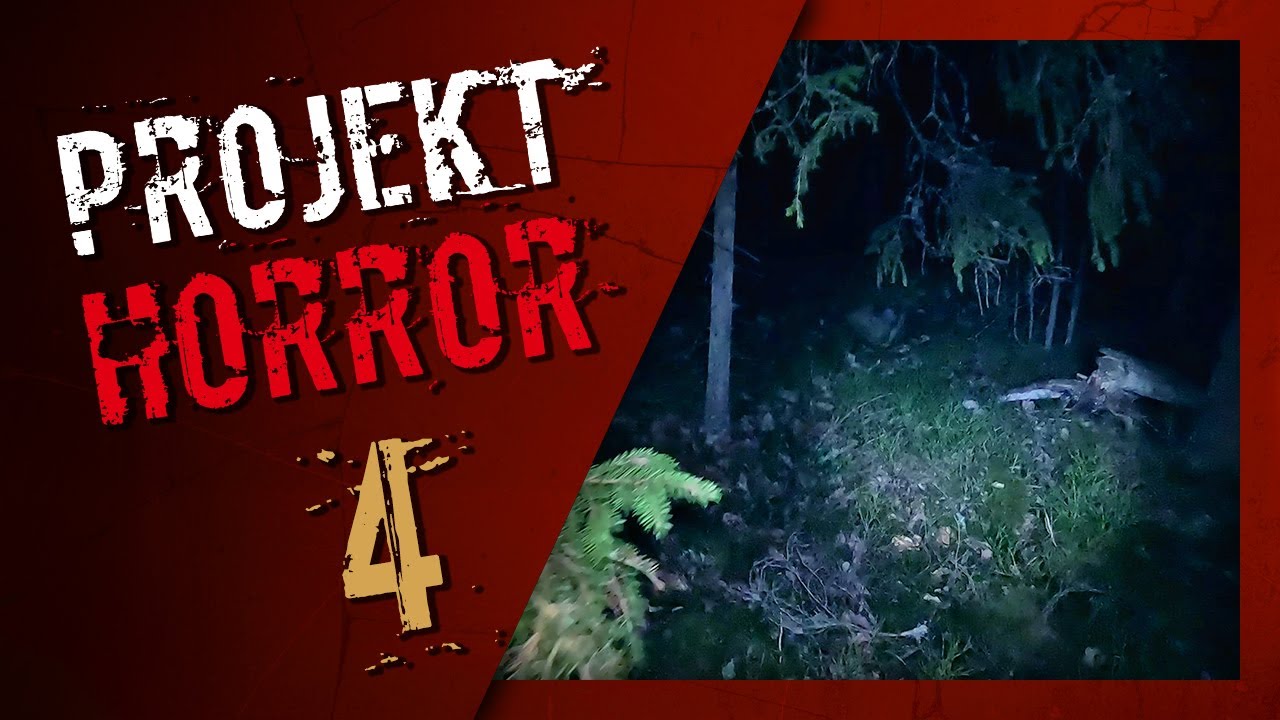 Wo ist Daruma San? Wir sind Nachts im Wald von Schweden | PH Folge 4