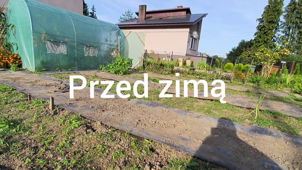 Ziemia po chorobach. Co można zrobić? Dezynfekcja, odkażanie