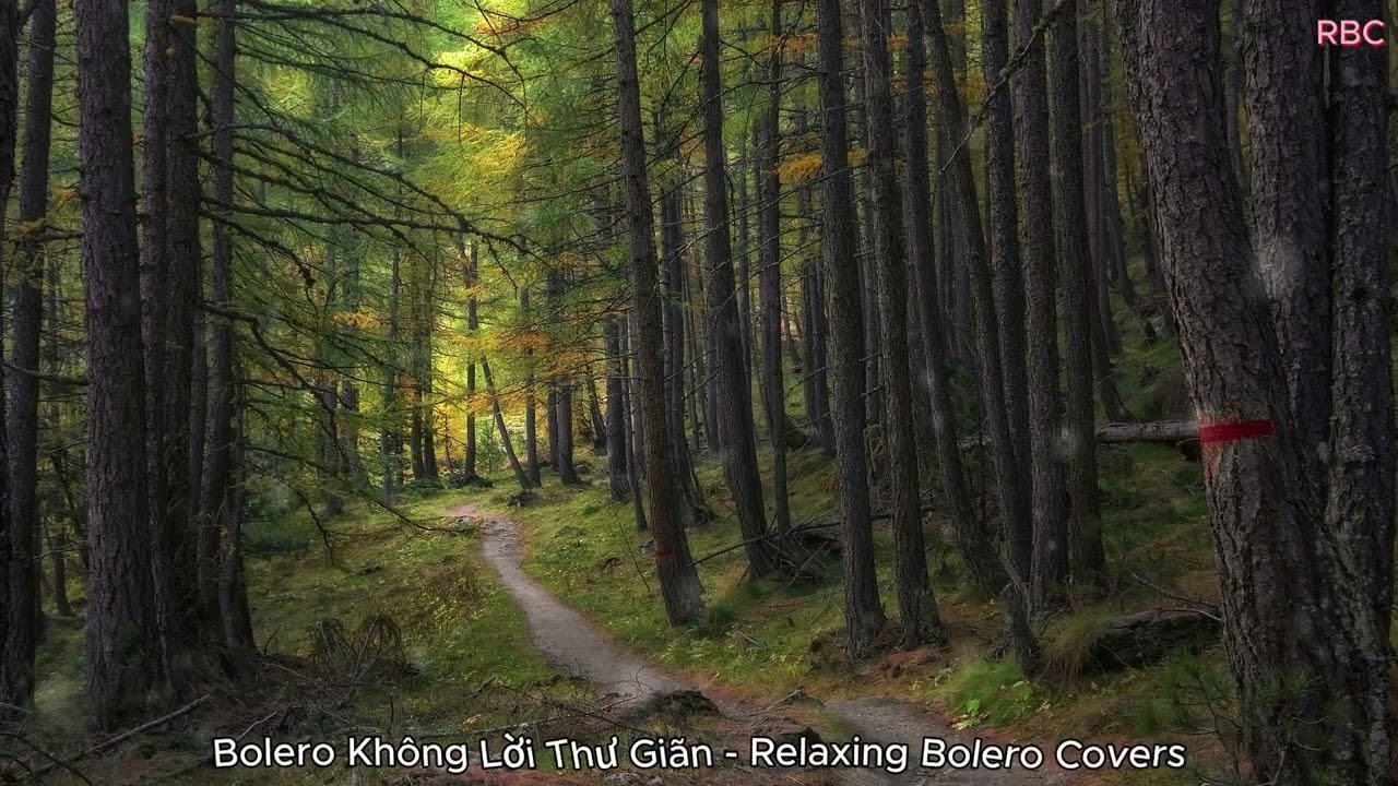 Bolero Không Lời Thư Giãn (Nhẹ Nhàng, Trữ Tình) - Relaxing Bolero Covers - RBC #26