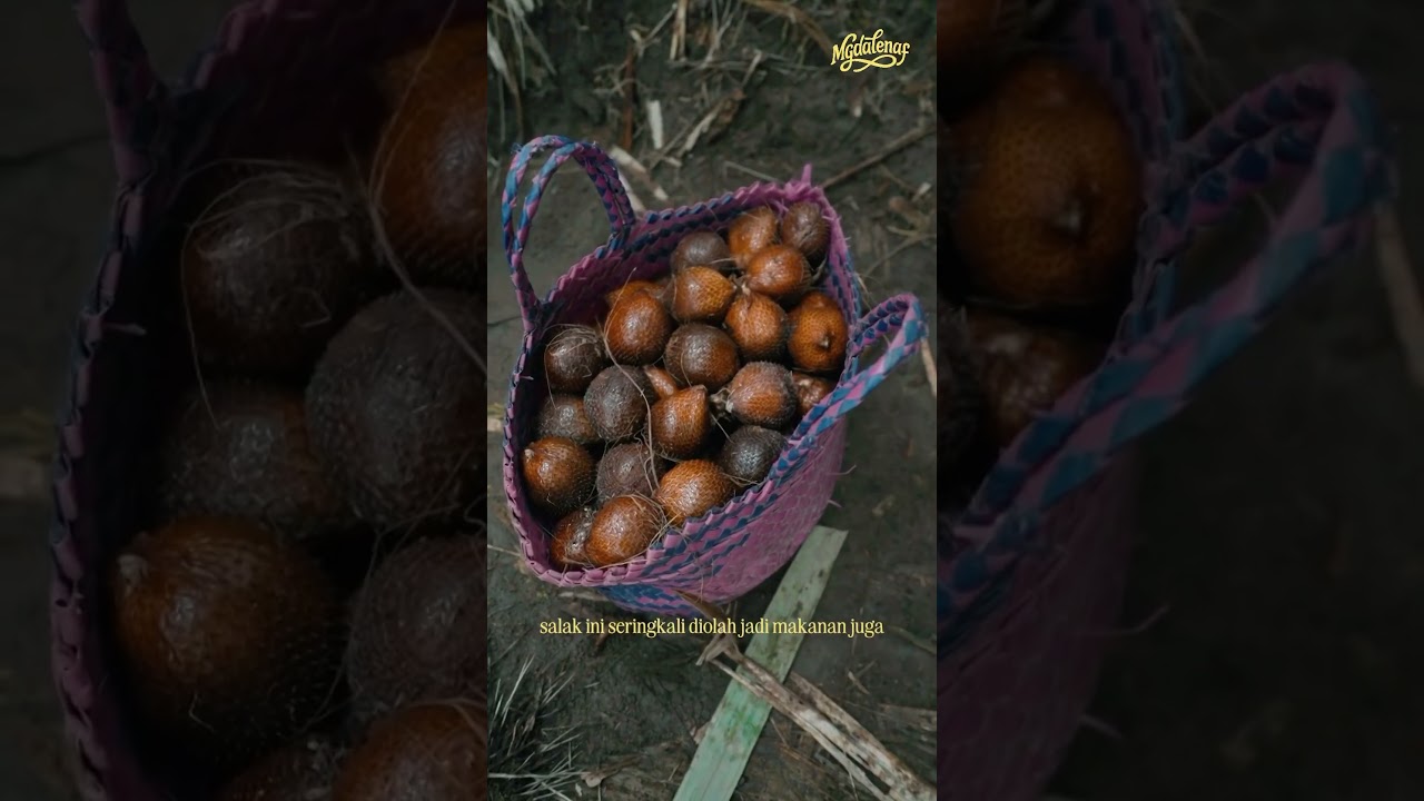 SALAK JADI MANISAN ❌ SALAK JADI SAMBAL ✅