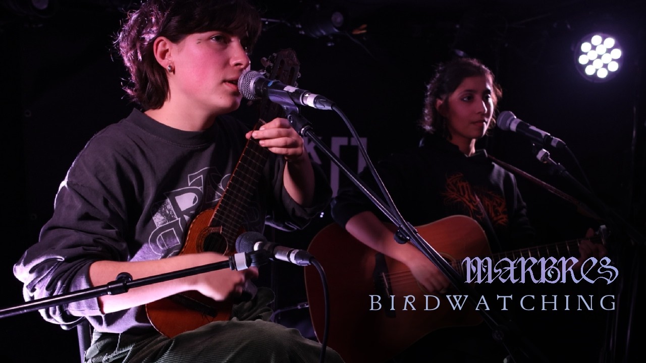 MARBRES - Birdwatching | Live Session