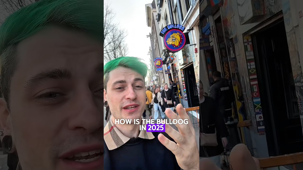 How is The Bulldog in 2025?