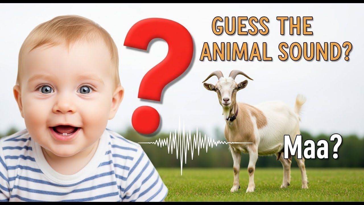 🐮 Nghe Tiếng – Xem Hình – Đoán 99 Con Vật | Trò Chơi Học Tập Cho Bé