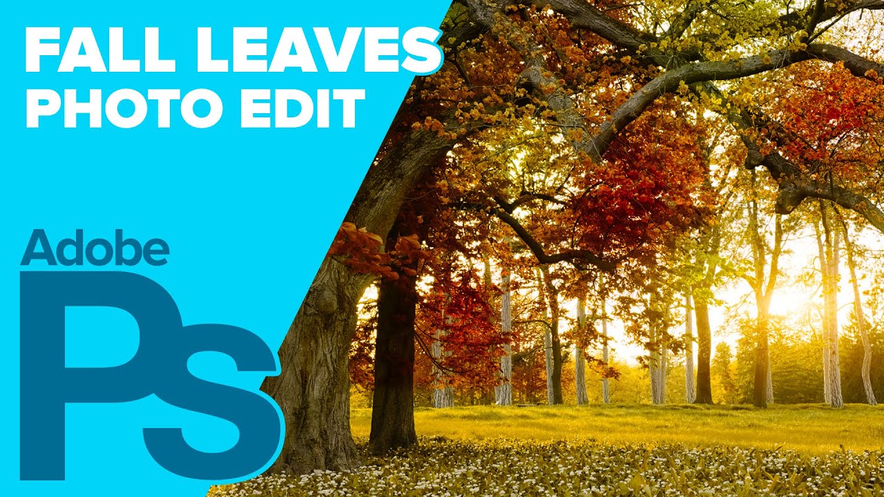 Как создать осенние листья в Adobe Photoshop