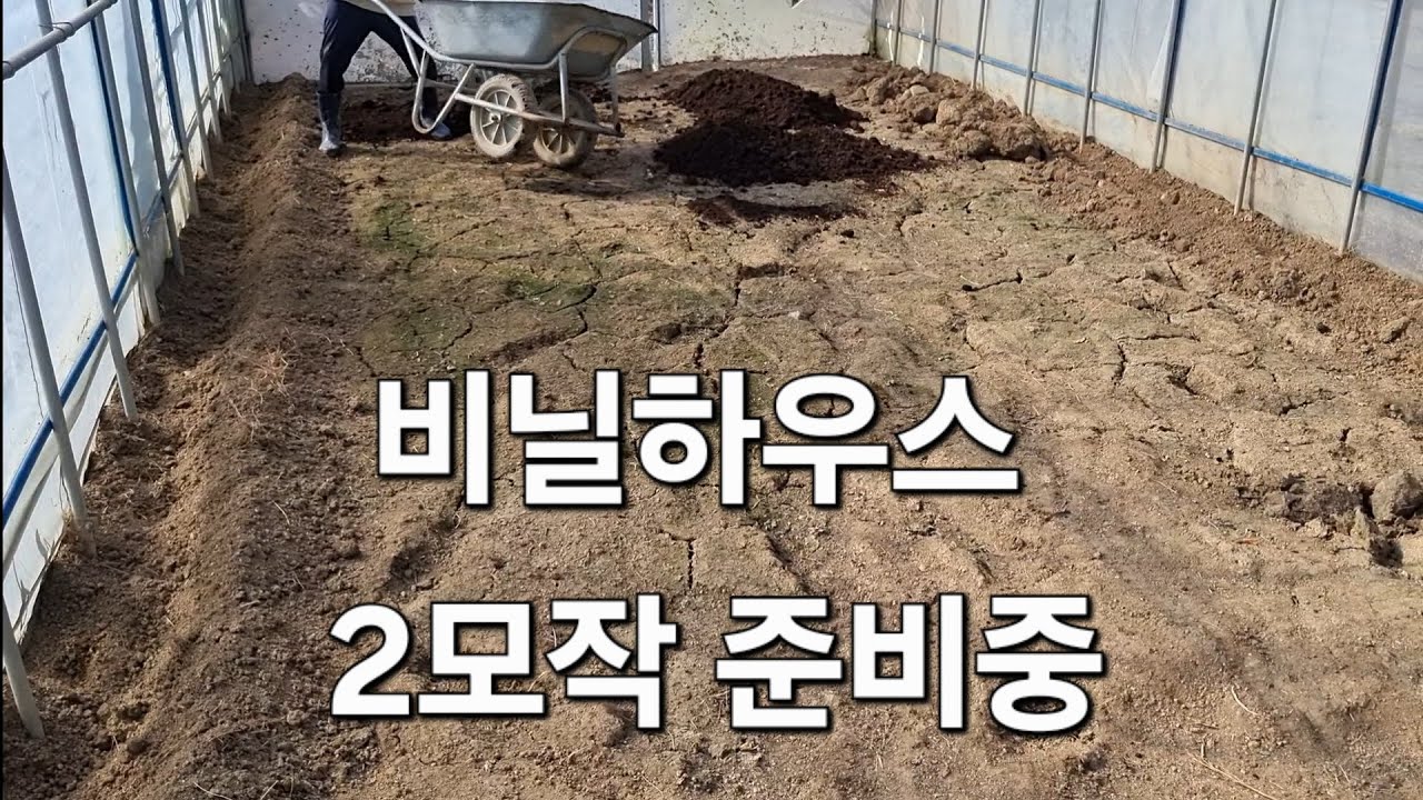 비닐하우스 농사 준비중