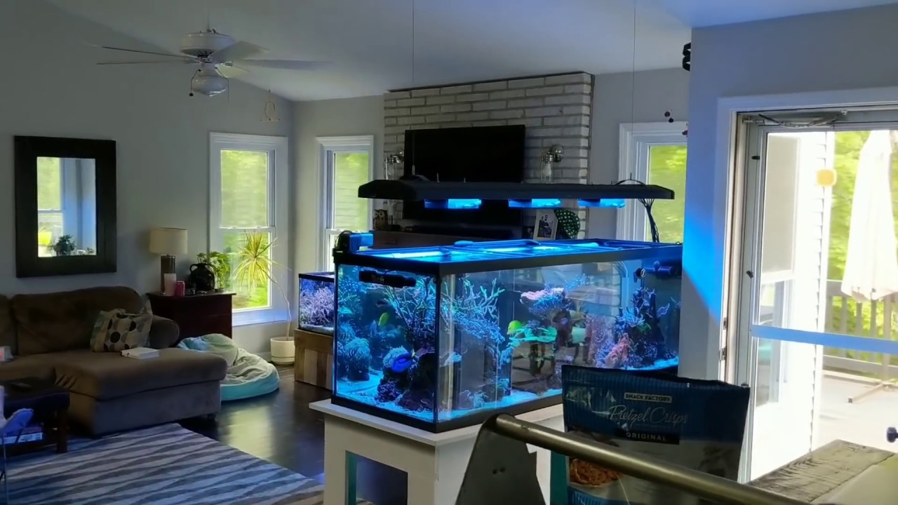 Terry's Reef Tank: Lighting Update-AI Hydra 26 HD