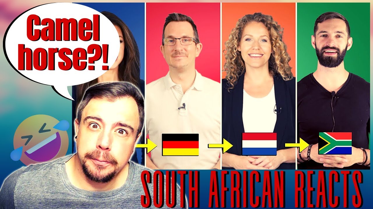 SOUTH AFRICAN REACTS! │ English vs. German vs. Dutch vs. Afrikaans