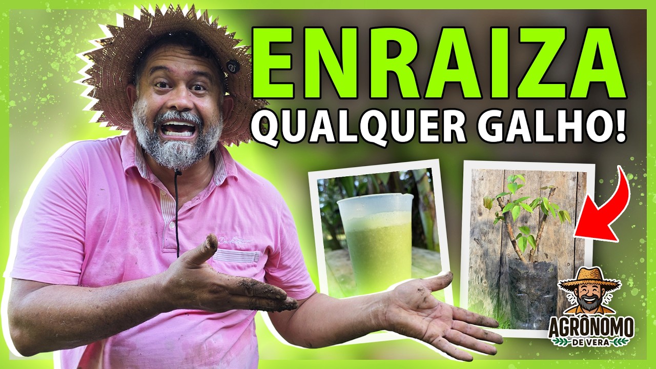 ENRAIZADOR caseiro POTENTE