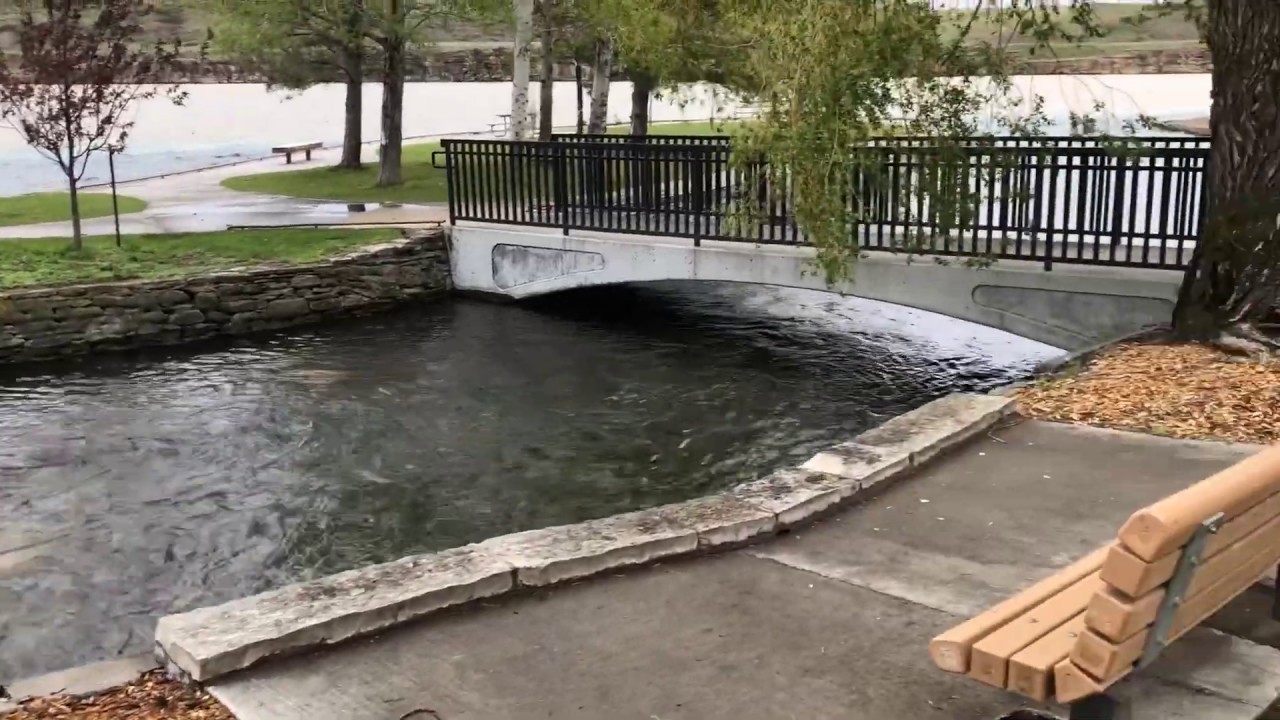 VTrip Video 2 The Giant Springs and the Roe River