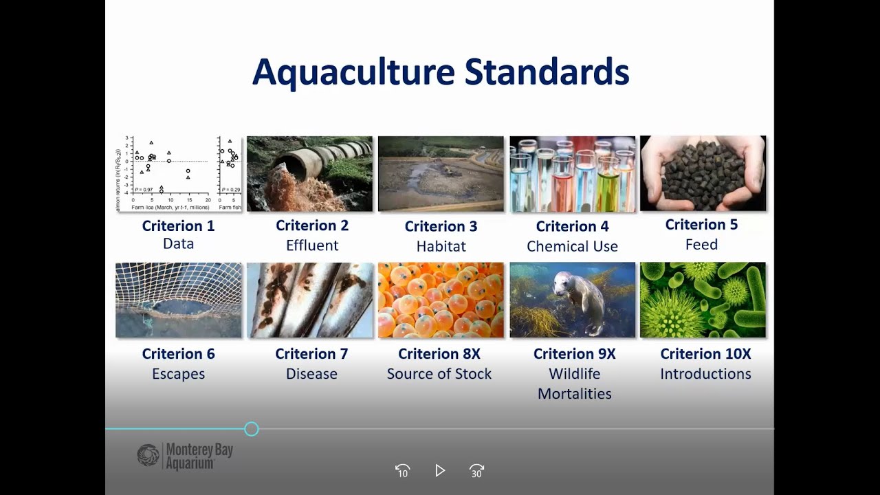 Webinar: A deep dive with Seafood Watch: history, staff structure and assessment process