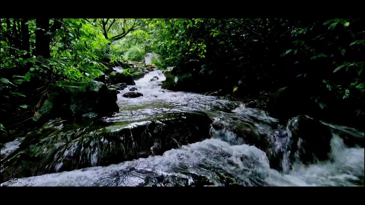 Tranquil River Sleep Therapy  Calming Flow Ambience