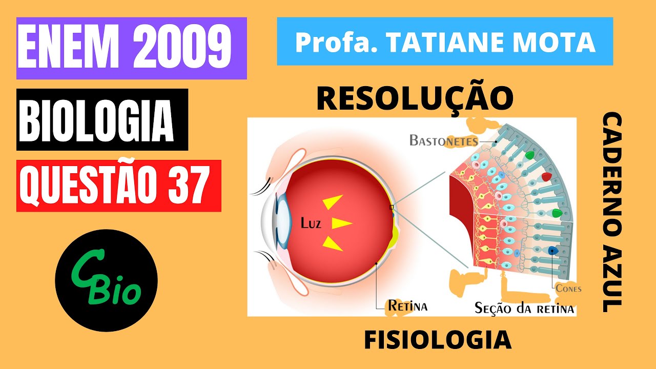 ✅[ENEM 2009] # BIOLOGIA # QUESTÃO 37 – FISIOLOGIA DA VISÃO - Sabe-se que o olho humano não consegue