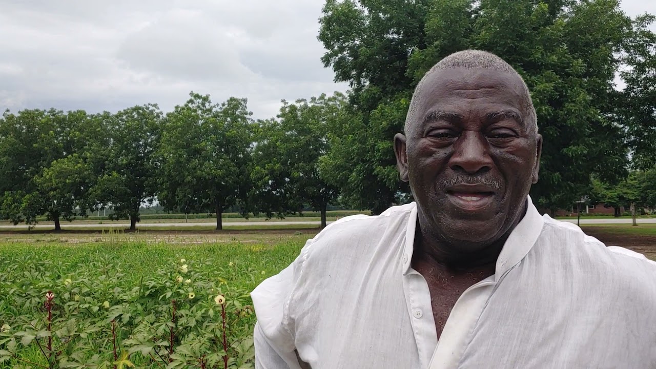 Watermelon🍉 farmer in Georgia ( Varieties for days )🍉
