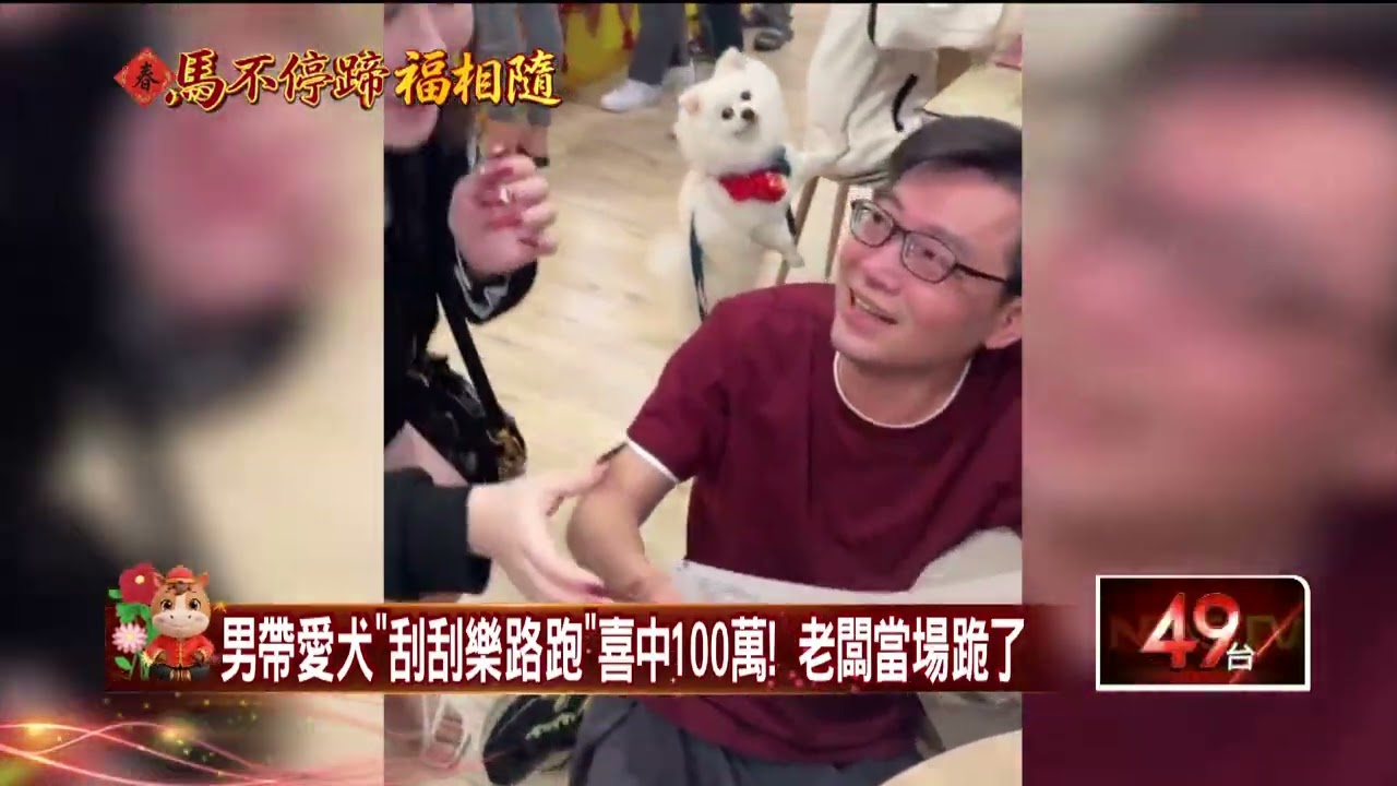 好運汪汪來！ 帶愛犬刮刮樂路跑　4家都中「刮出百萬」