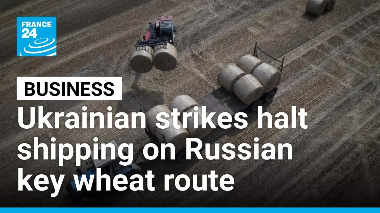 Ukraine strikes halt shipping on key wheat route as Russian fuel crisis deepens &bull; FRANCE 24 English