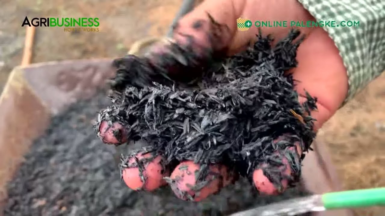 HOW TO Carbonized Rice Hull, Loam Soil and Vermitea gamit ang sariling farm waste