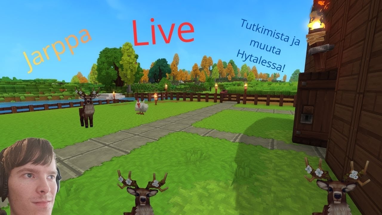 Seikkailua Hytalessa livenä – varusteiden kehitystä!