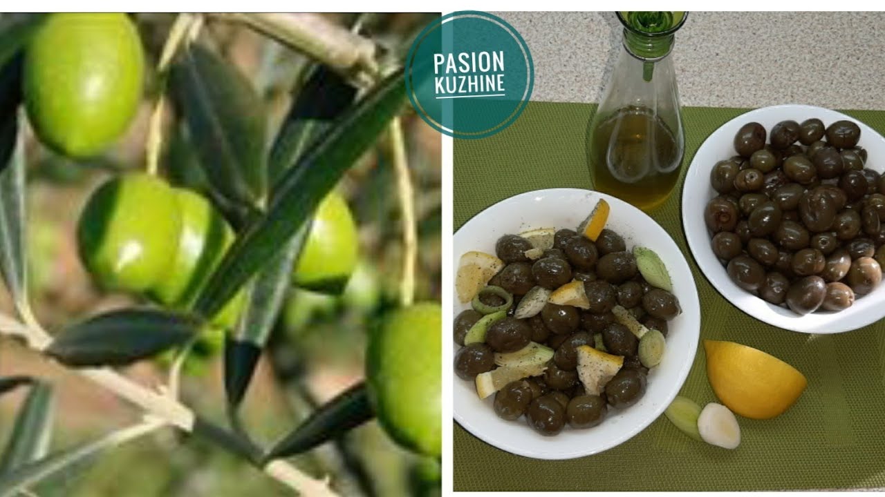 Proçesi i përgatitjes së ullinjve të pa bëre deri në konsumim !