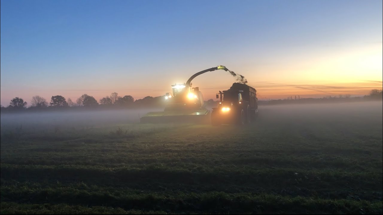 Ensilage d’automne en coupe directe