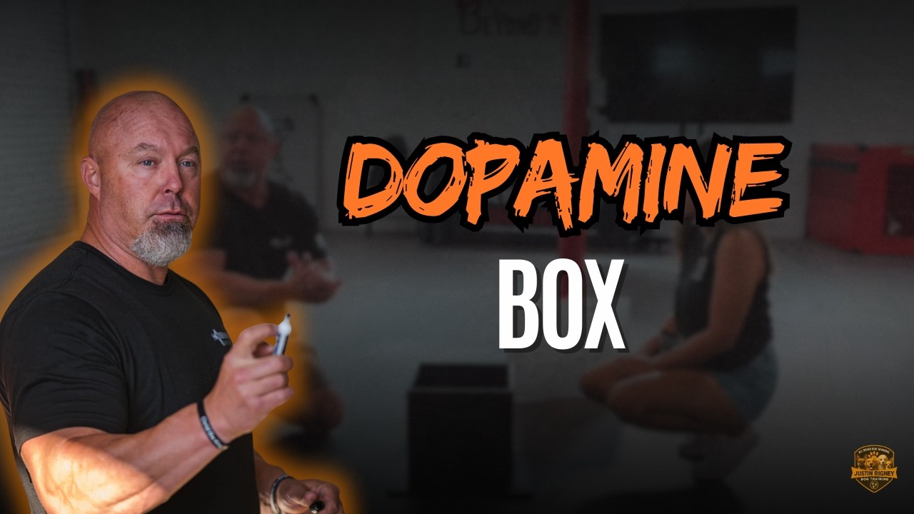 💥DOPAMINE BOX 📦 DAY 1 INTRO💥#k9servicesunlimited  #dopamine #flow #focus #fyp