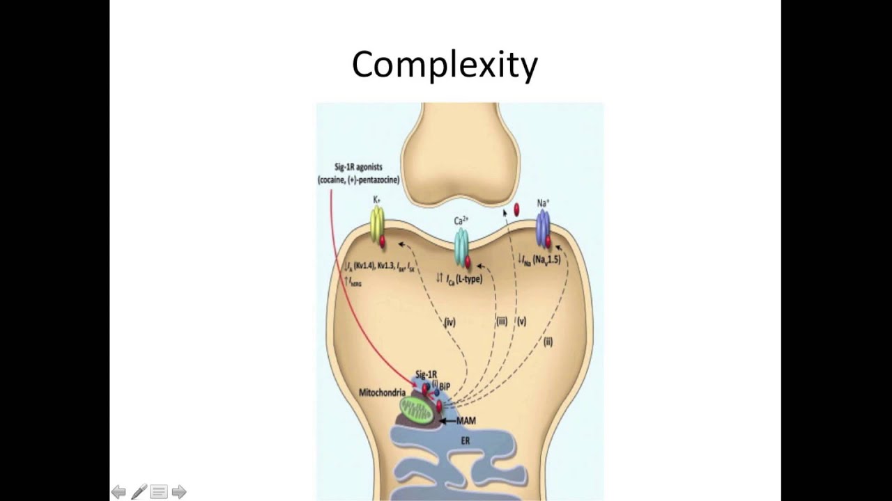 Sigma-1 receptors