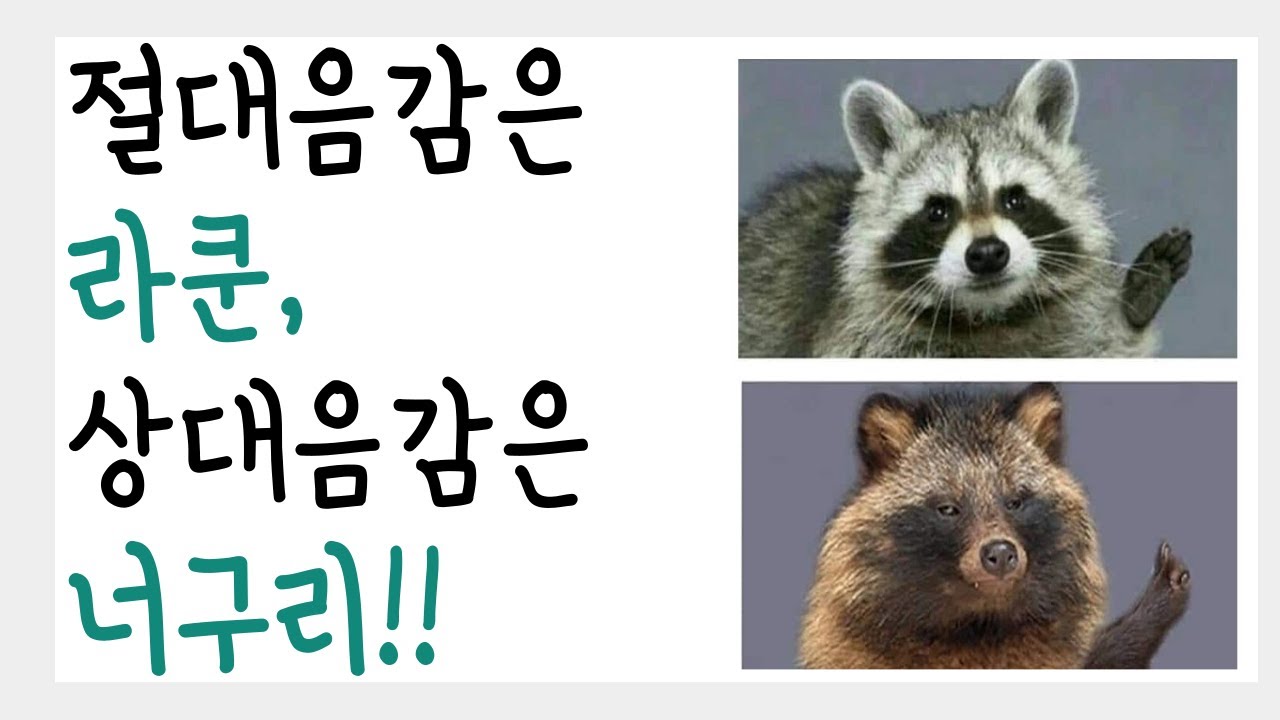 [시창 청음 강의 02] 나는 절대음감일까, 상대음감일까? 이 두 음감을 낱낱이 파헤쳐 봅시다!