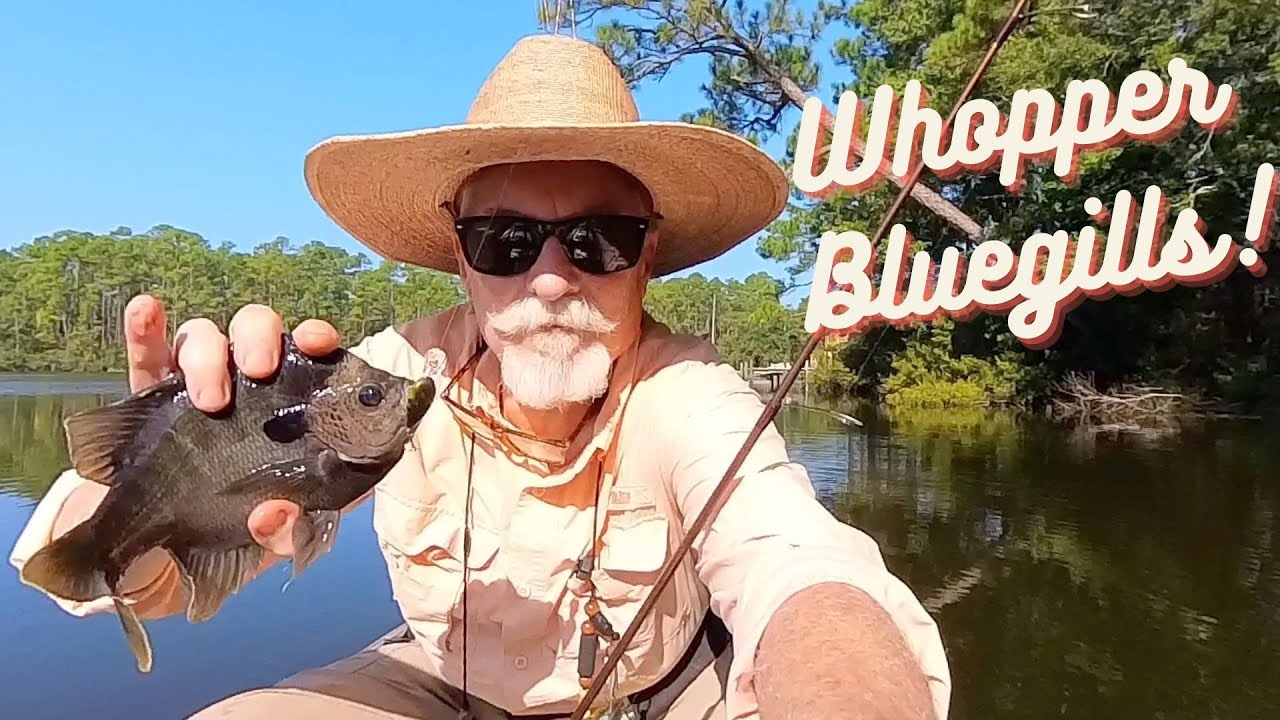 Ultralight Fishing for Big Bluegills | 9-9-23 | FL Panhandle