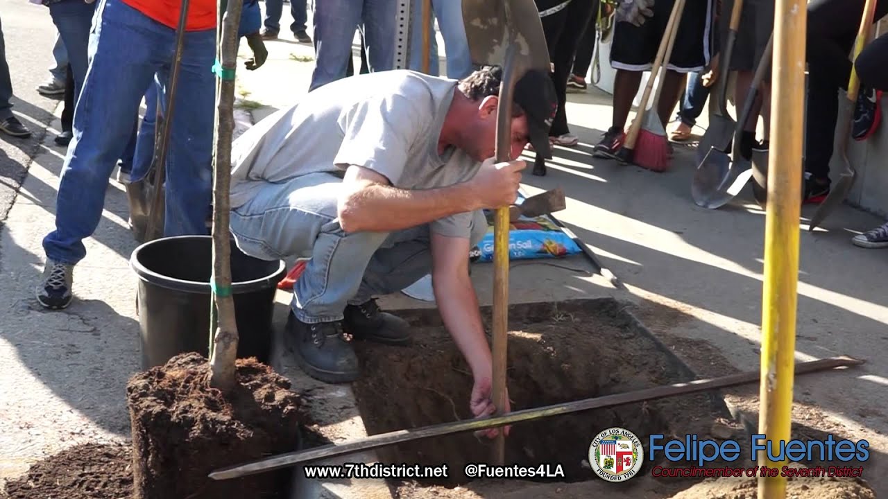 Felipe Fuentes Joins Los Angeles Beautification Team to Plant Trees in Sunland Tujunga