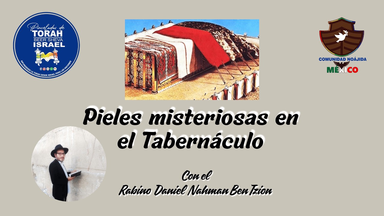 Pieles misteriosas en el Tabernáculo| Rav Daniel Nahman Ben Tzion| Comunidad Noajida México