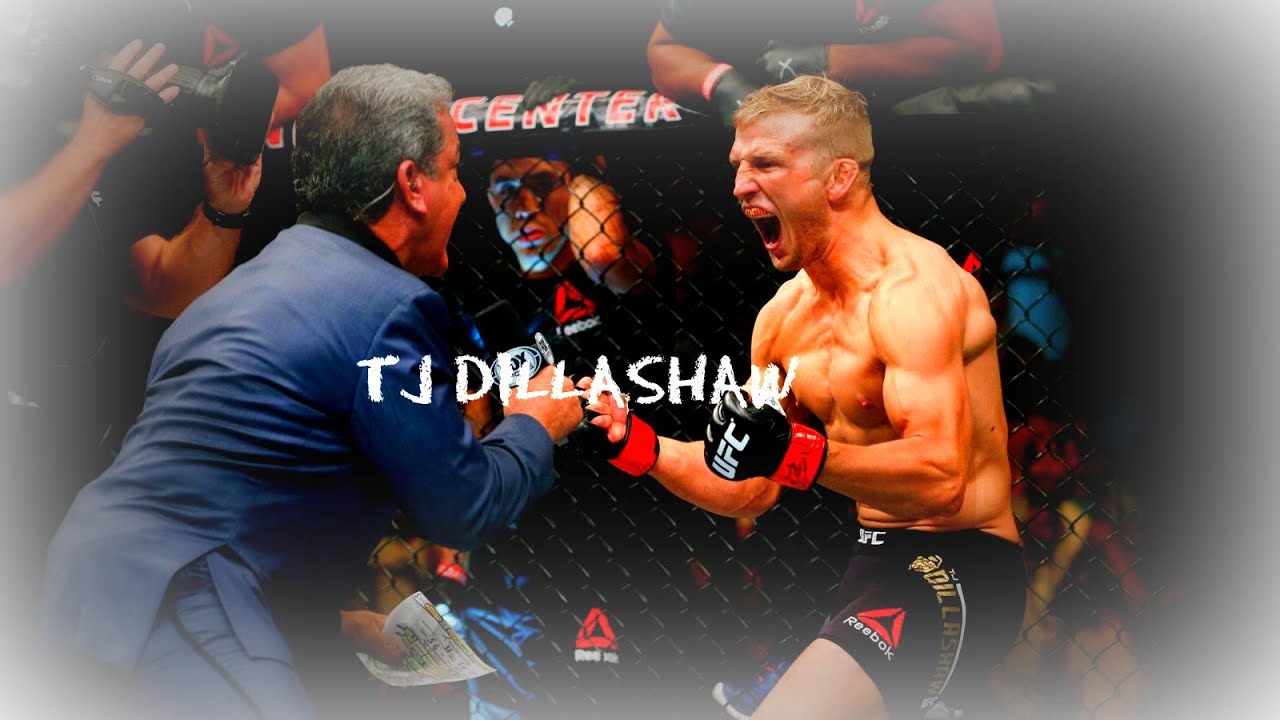 TJ Dillashaw Highlights