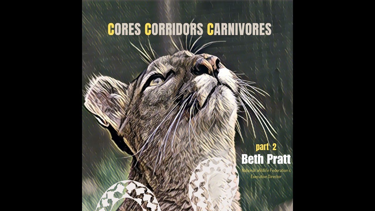 Part 2 | Beth Pratt | National Wildlife Federation | Coexisting with Wildlife