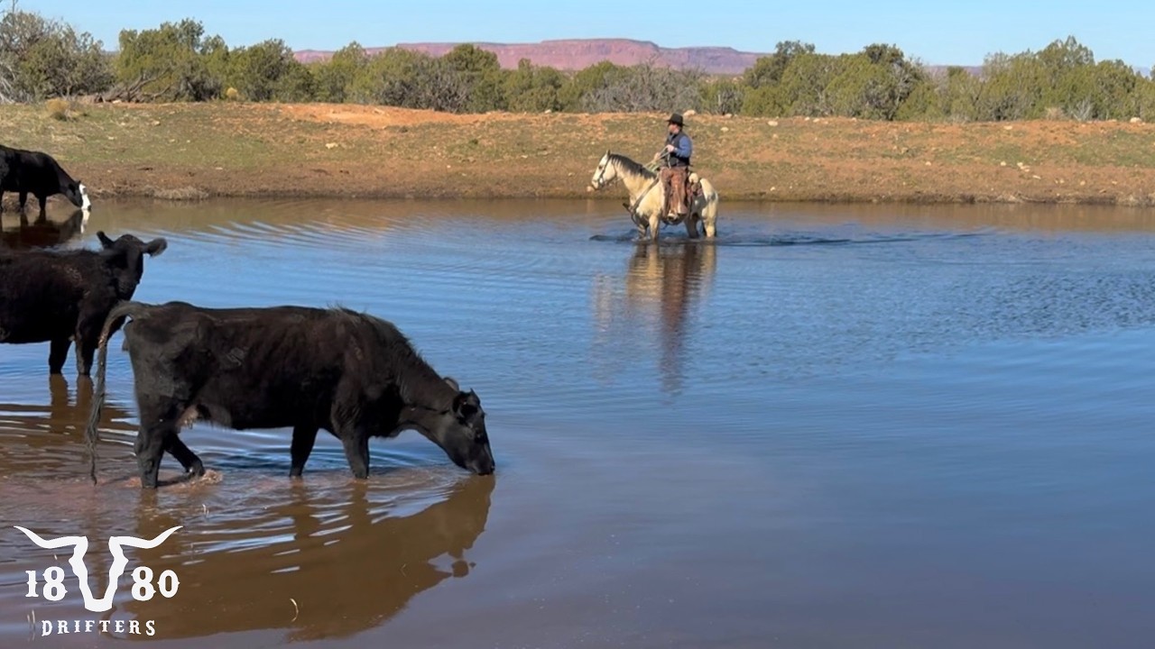 Life On A Utah Desert Ranch. Spring Ranching Is Here!