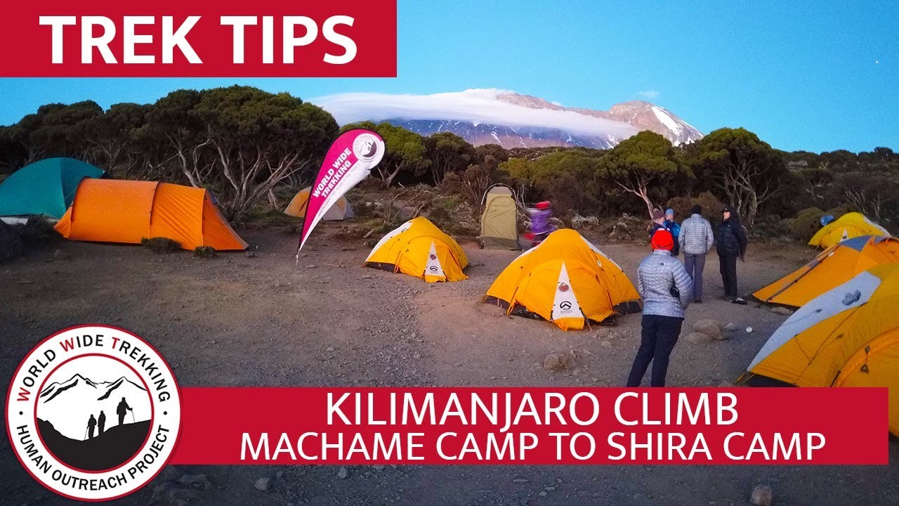 Machame Camp (9,350') to Shira Camp (12,500') on Mt. Kilimanjaro | Trek Tips