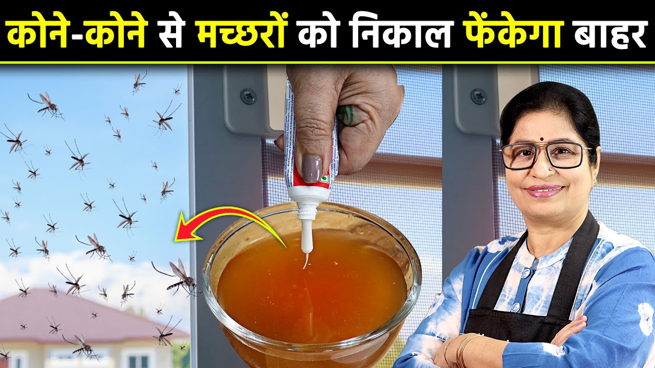 न केमिकल, न कीटनाशक - इस जादुई उपाय से मर जाएंगे घर में छुपे मच्छर, 100% असरदार Get Rid Of Mosquito