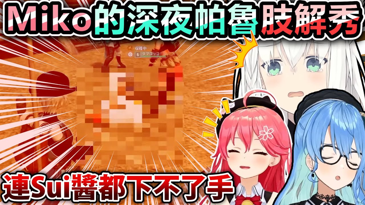 居然是Miko先踏出禁忌的一步將魔爪伸向了帕魯w但畫面異常的好笑ww【Hololive中文】【Vtuber中文】【白上フブキ｜星街すいせい｜さくらみこ】