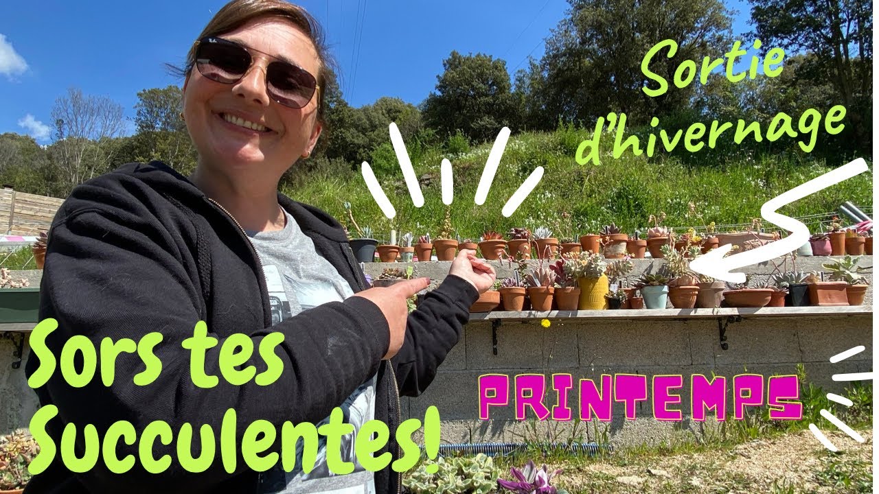 Je sors mes Plantes Succulentes d'hivernage | #sorstessucculentes | Le Petit jardin de Bob