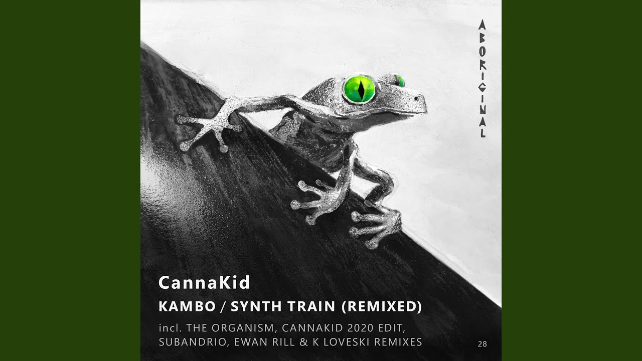Synth Train (Subandrio Remix)
