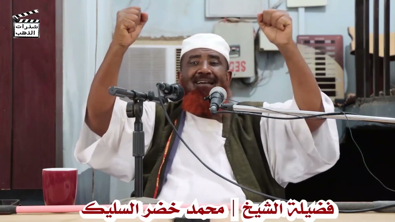 أبيات شعرية قوية💥 للشيخ صاحب الاسلوب الفريد | محمد الخضر السليك حفظه الله