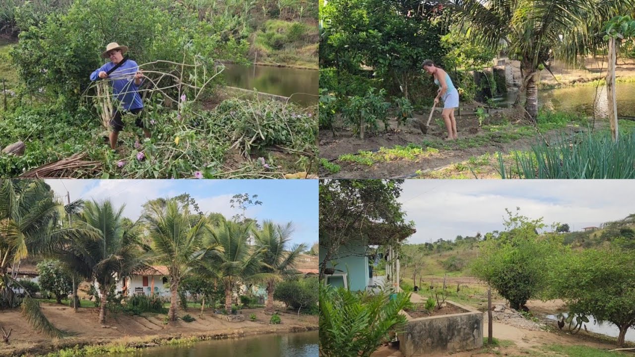Olha como ficou a frente da casa depois dessa limpeza + Cuidando da horta 