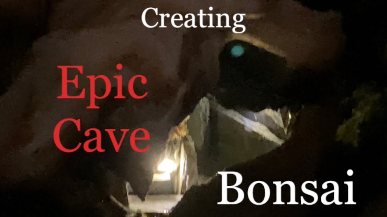 Creating my epic cave bonsai Tanuki forest @Bonsaicrazy #bonsai