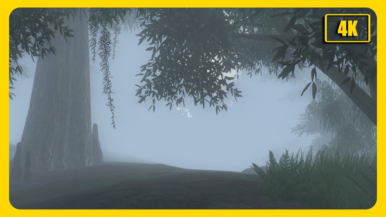 Alluring Ambience of Oblivion - Border to the Black Marsh