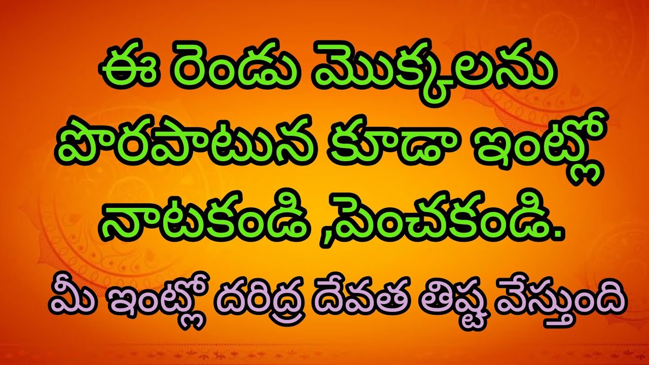 ఈ రెండు మొక్కలను పొరపాటున కూడా ఇంట్లో నాటకండి, పెంచకండి. మీ ఇంట్లో దరిద్ర దేవత తిష్ట వేస్తుంది.