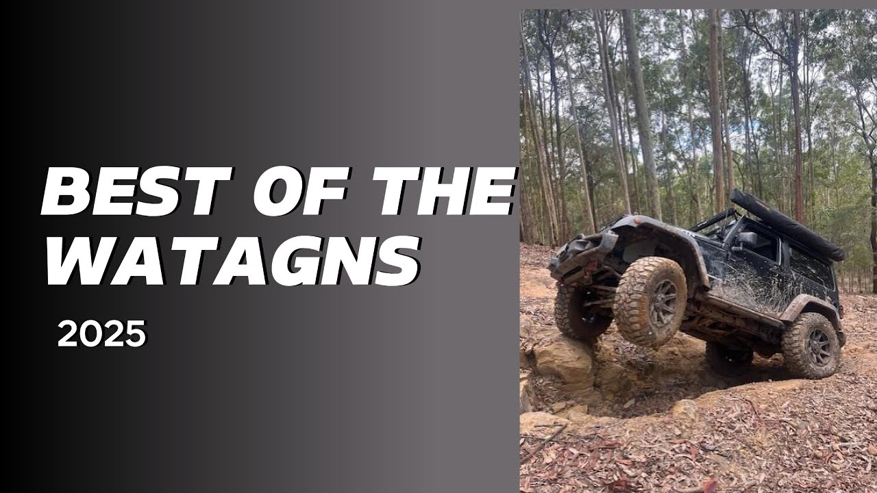 The best of Watagans national park 2025