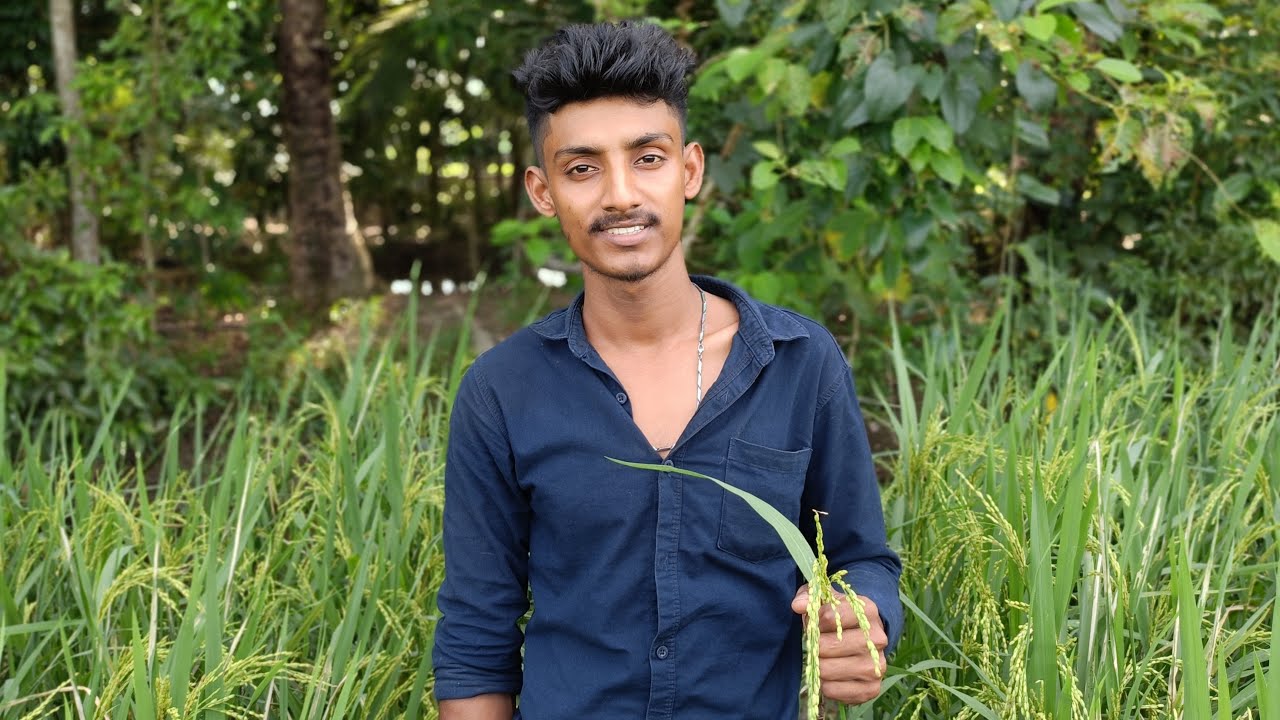 বাঙালি মানেই বিনোদন! হাসতে হাসতে পাগল হয়ে যাওয়ার মতো ভিডিও 🤣