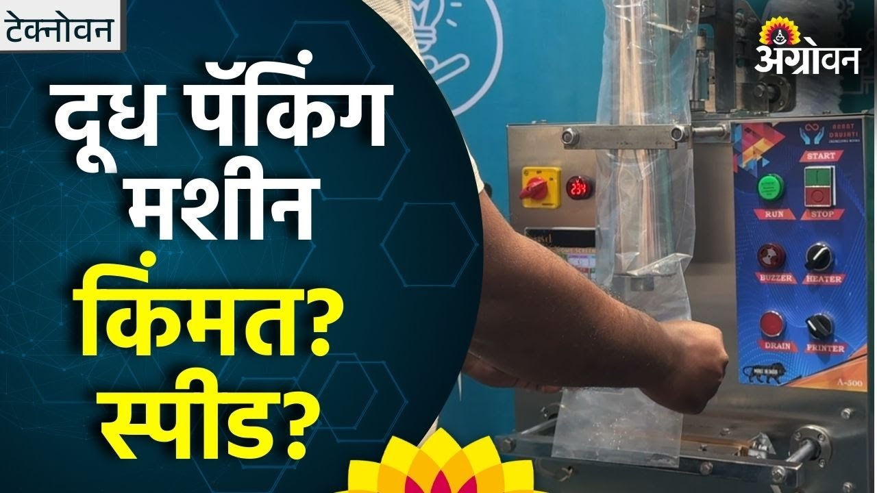 Milk Packing Machine : छोट्या दूध उत्पादकांसाठी दूध पॅकिंग मशिन । लस्सी, ताक पॅकेजिंग मशिन |Agrowon